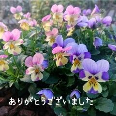 ありがとうございました