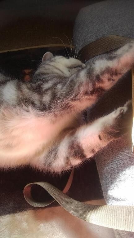 ちょっと多いみたい