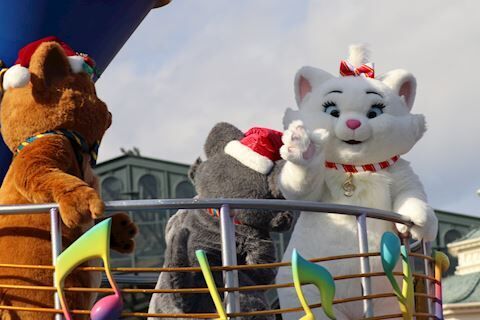 ご指名ありがとう❄️