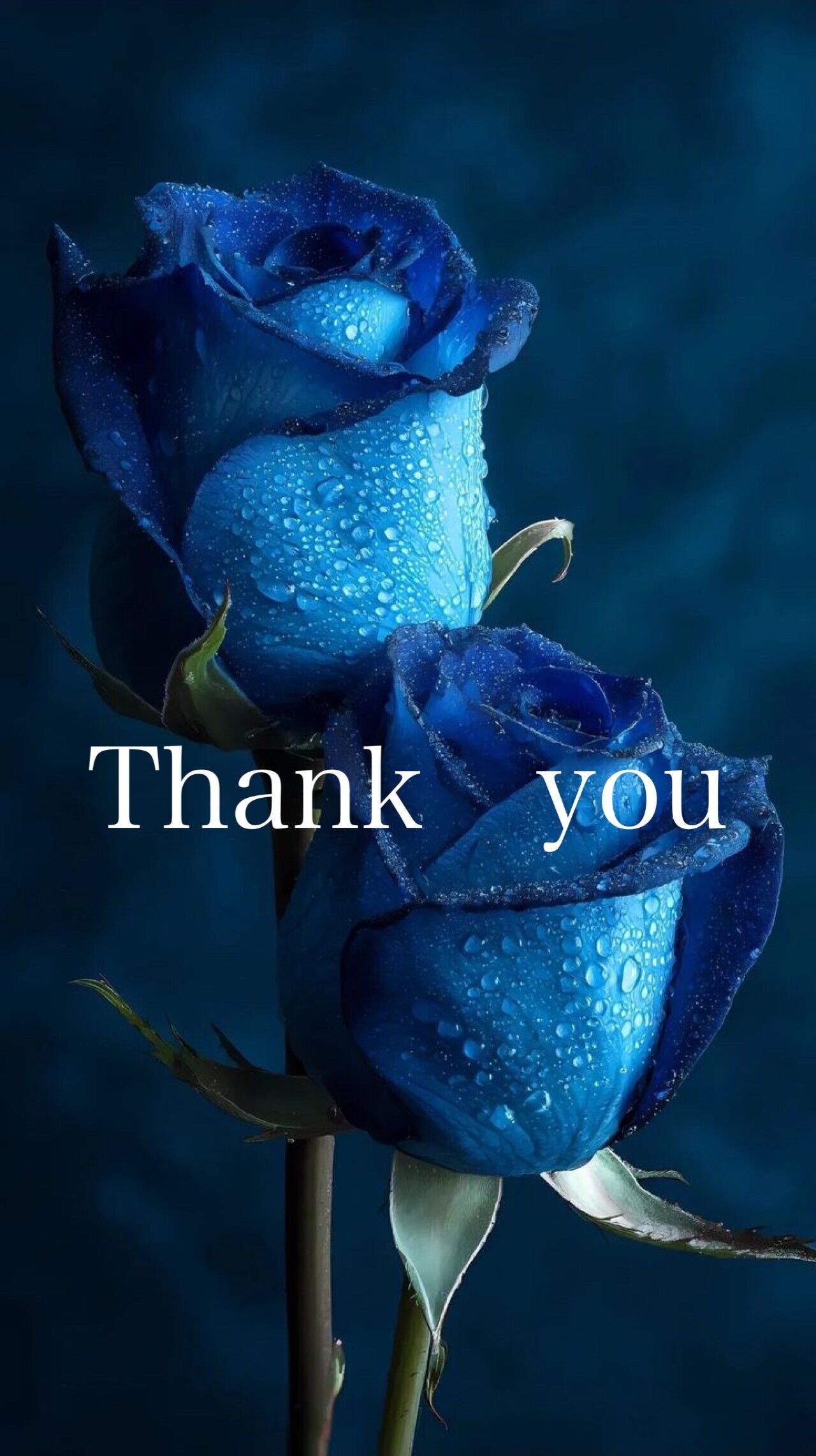 Y様ありがとうございます