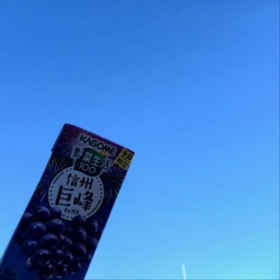 ＊おはようございます＊