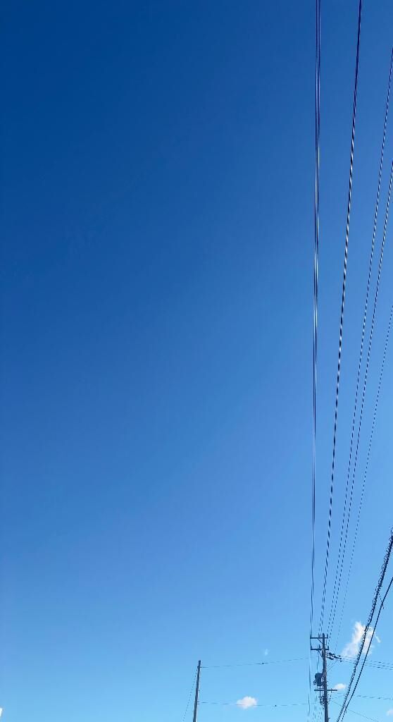 おはようございます♡♡