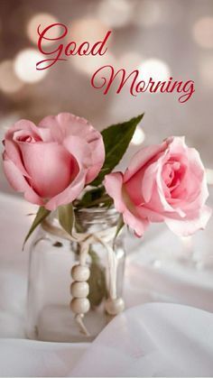 お願い致します♬