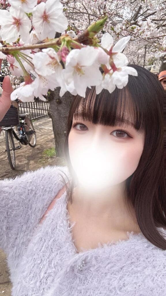 🎀今日からです🎀