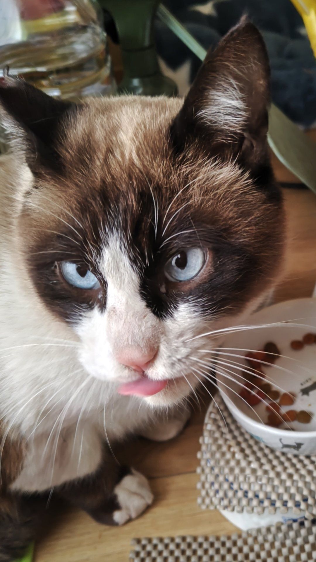 本日はお休みです