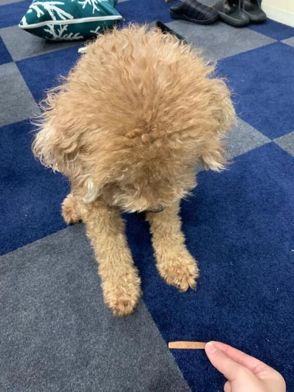 おは〜‼︎☀️