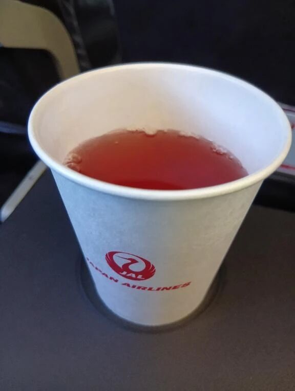 空の上だけは✈️