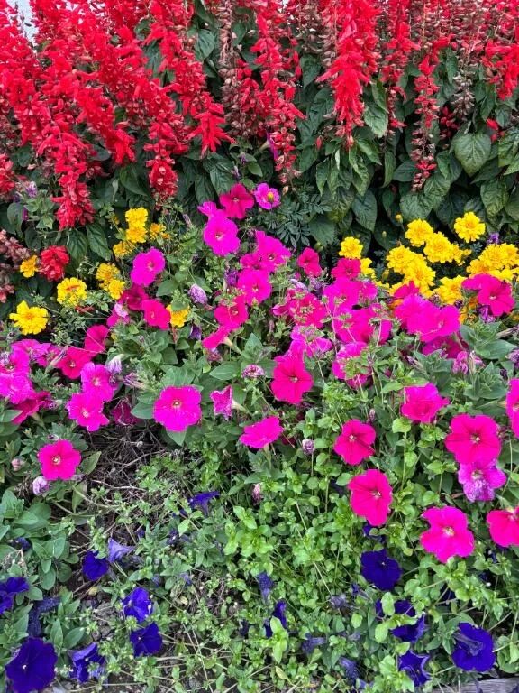 待機してます！