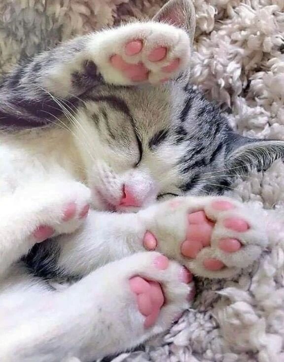 おやすみ中で❤️