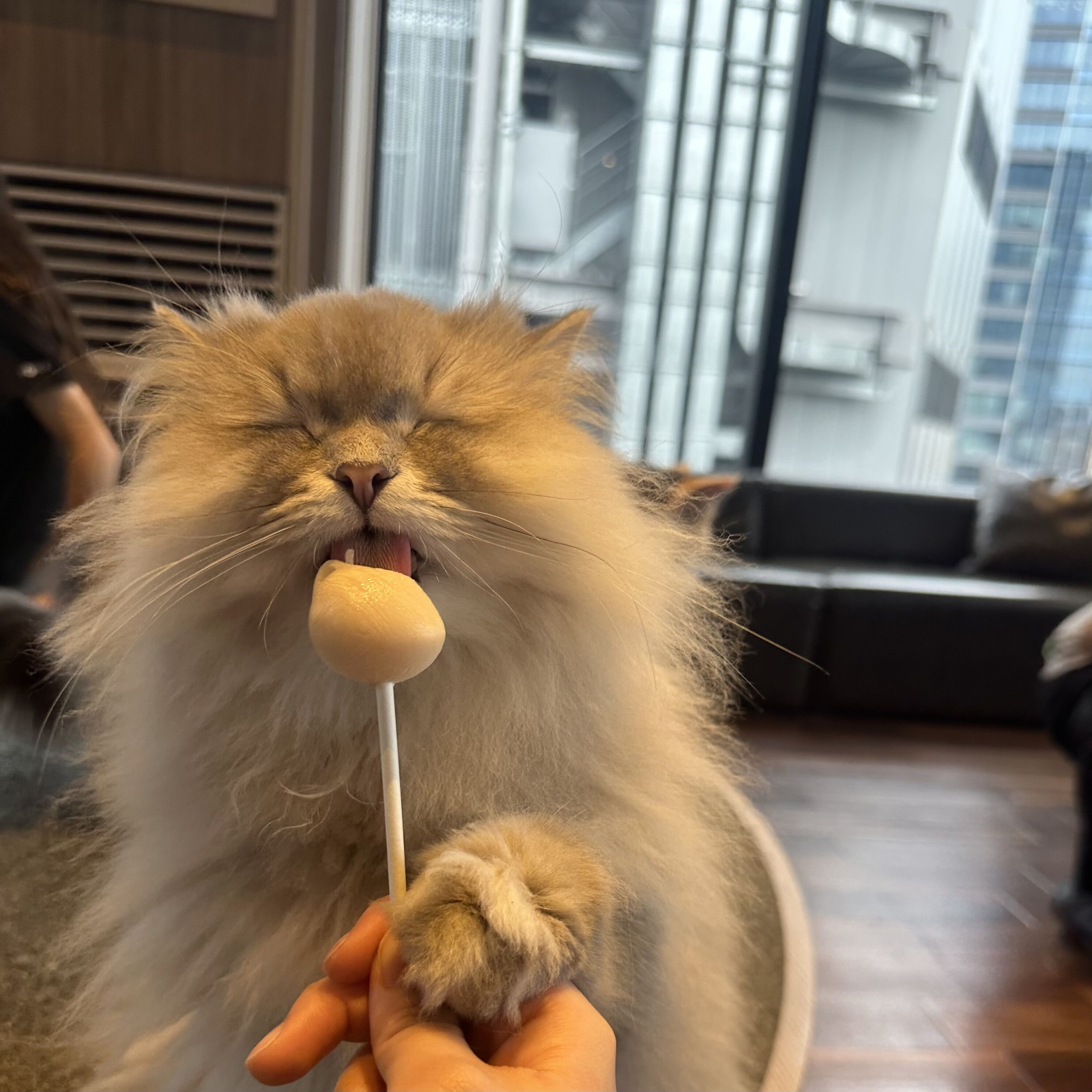 18時に来てくれたお兄さん