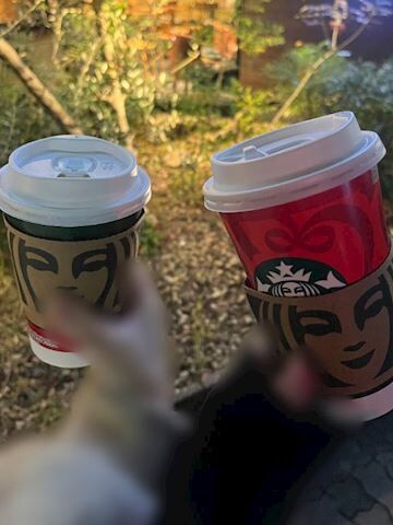 入院してました♡