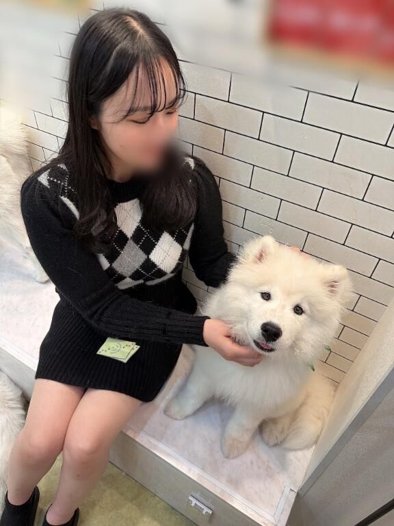 ペット飼いたい♡