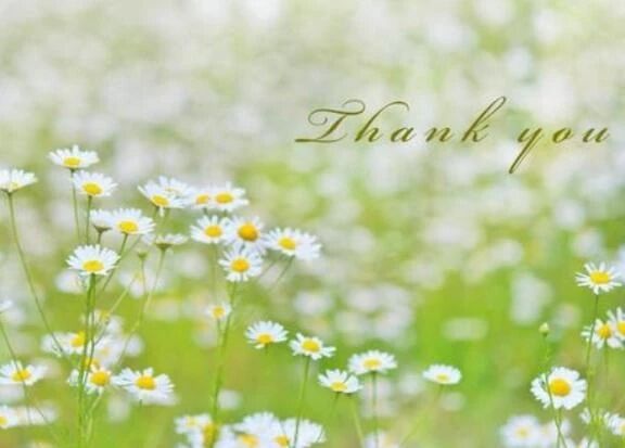 水曜日ありがとう♡