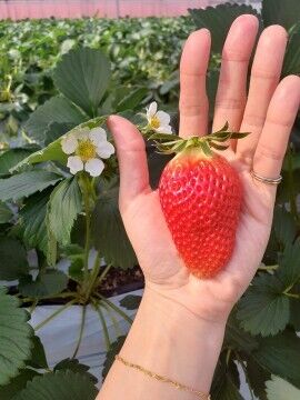 １８日木曜　Ｏ様　Love letter