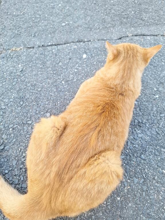 おやすみなさい