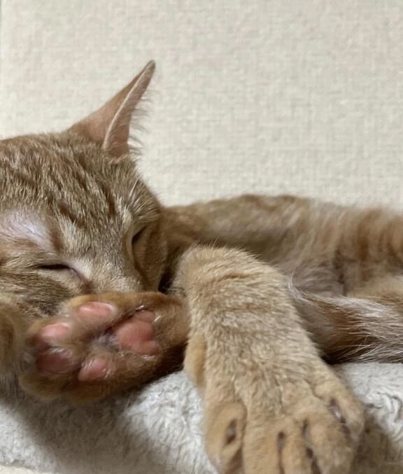 サーバーの調子？