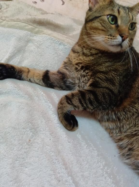 帰宅しましたぁ