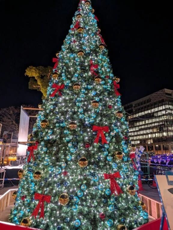 おはようございます♪