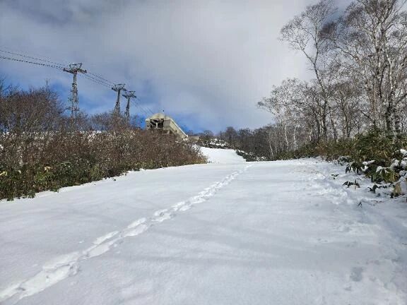 BCできたじゃん