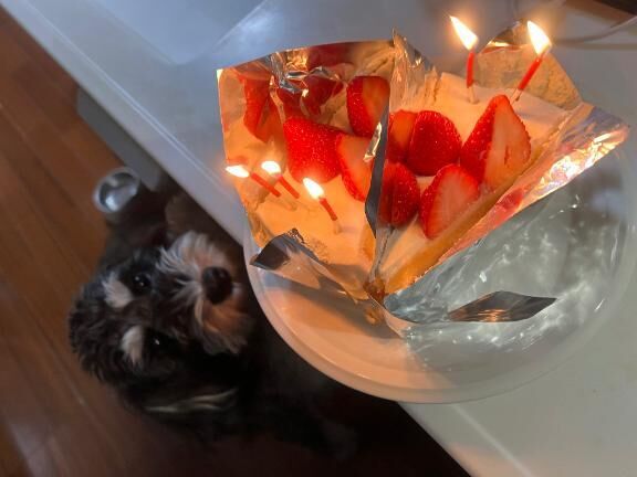 今日もありがとう♡