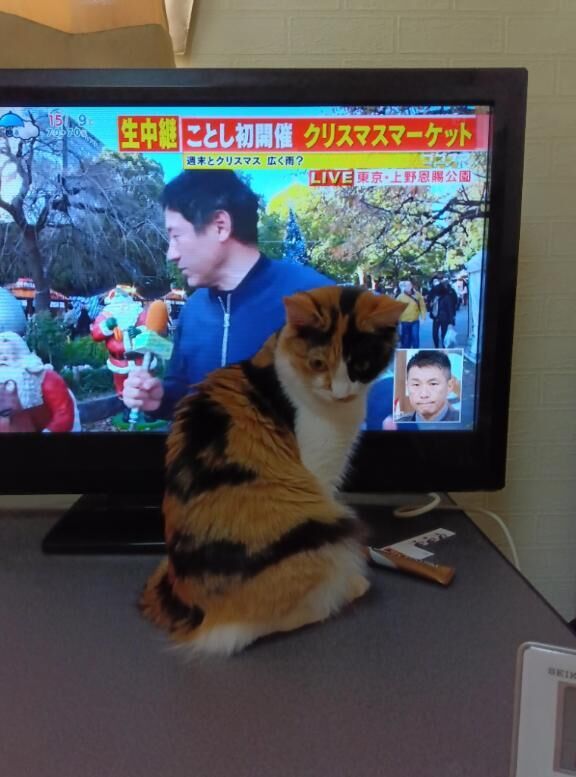 [お題]from:グミさん