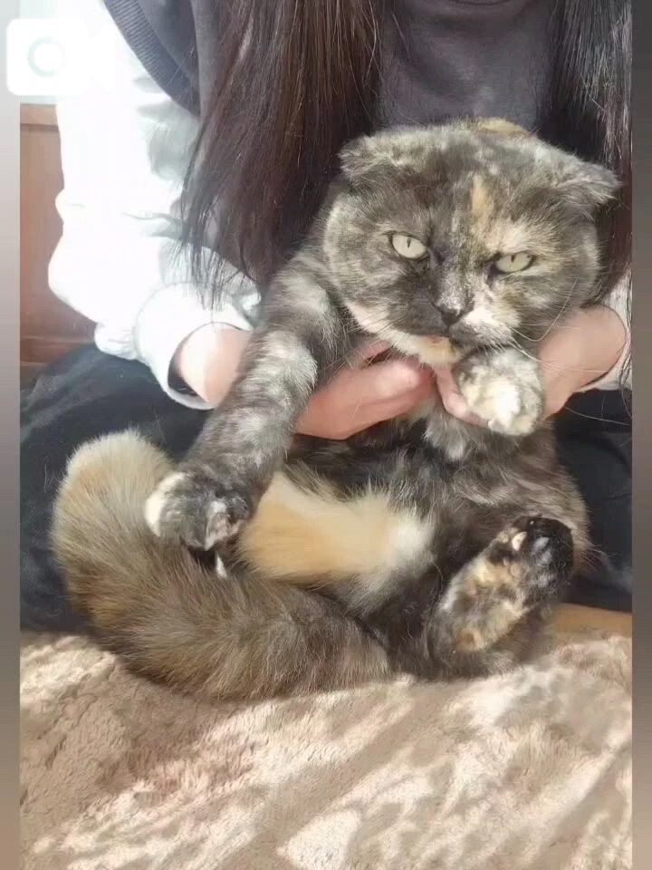 お爪切ります