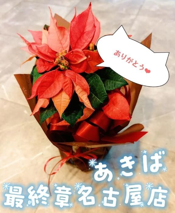 昨日は完売御礼ありがとう(。-ω-)zzz. . . (。ﾟωﾟ) ﾊｯ!