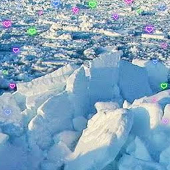 今頃ですが笑♡