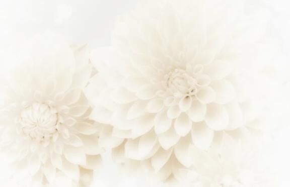 from:焼肉！さん