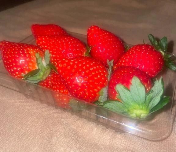 靴下大好き仲良しさんへ