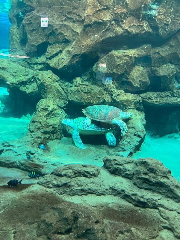 〜本日のお礼〜 K藤様