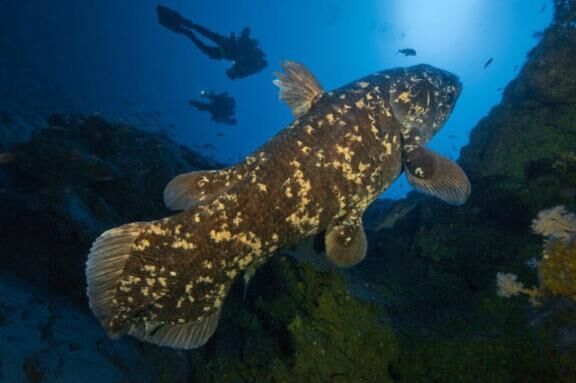 [お題]from:下痢するってよさん