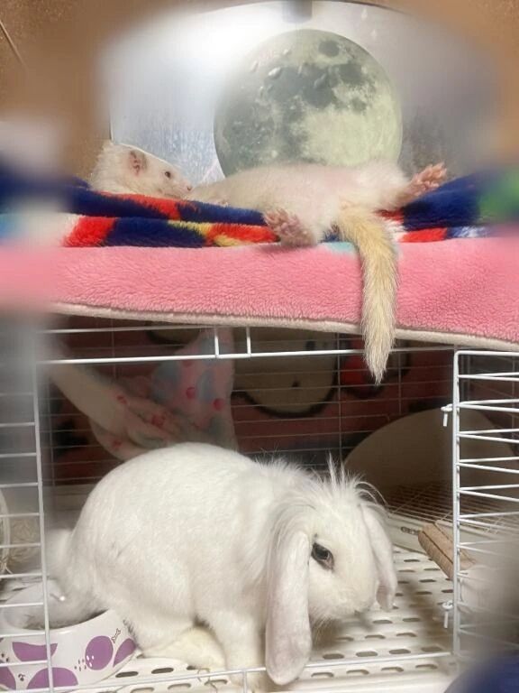 退勤しました(*^^*)