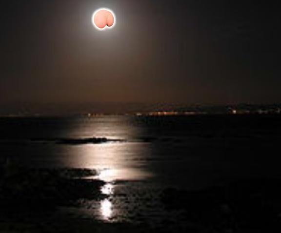 おやすみなさい