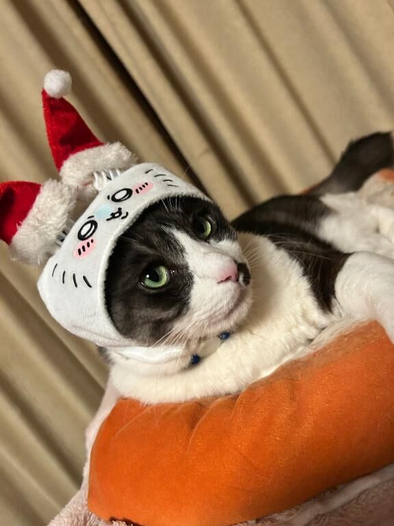 もうすぐ、、♡