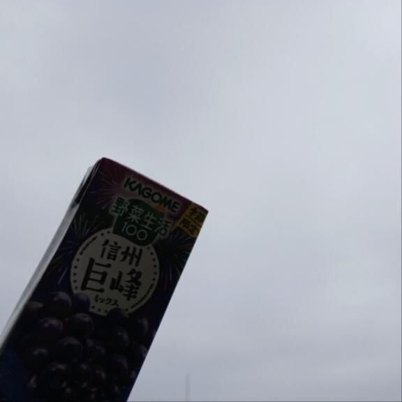 ＊おはようございます＊