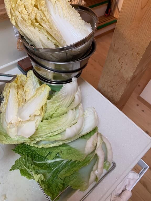 ミルフィーユ鍋(♡♡♡♡♡)