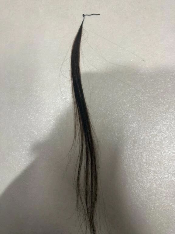 もう取れてきた