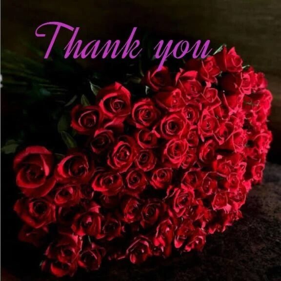 昨夜19時40分〜のお礼です♪