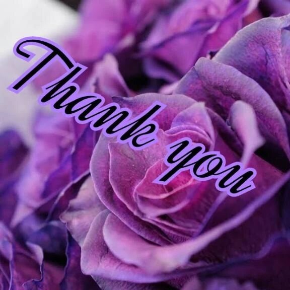 昨日18時15分〜のお礼です♪