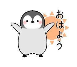 今日も無理せず…泣