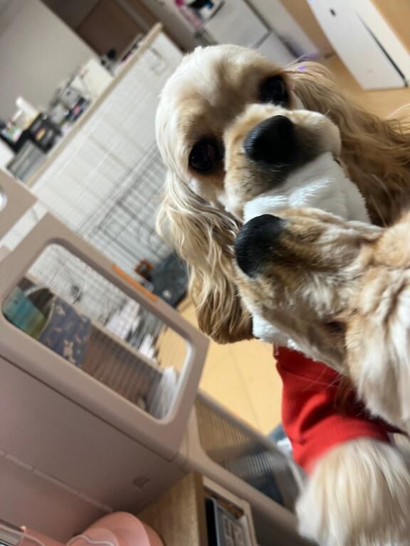 今週も一緒に頑張ろ♡