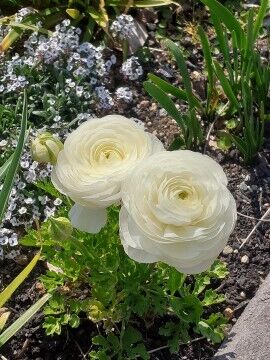 ２２日月曜　Ｔ様　Love letter