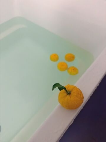 おやすみなさい( ˘ω˘)ｽﾔｧ