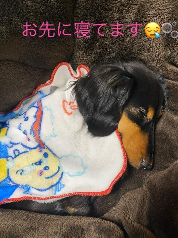 2連休です♡♡♀♡♡