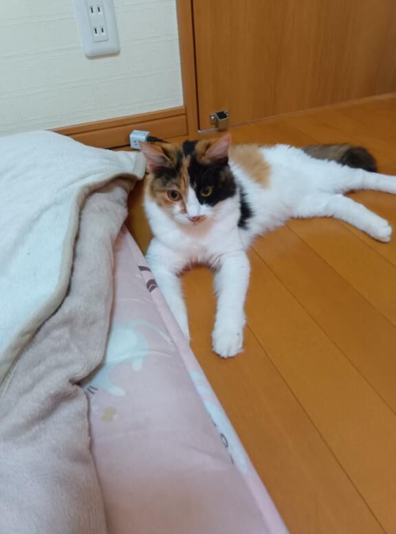 ウォーターゲートの殿方様