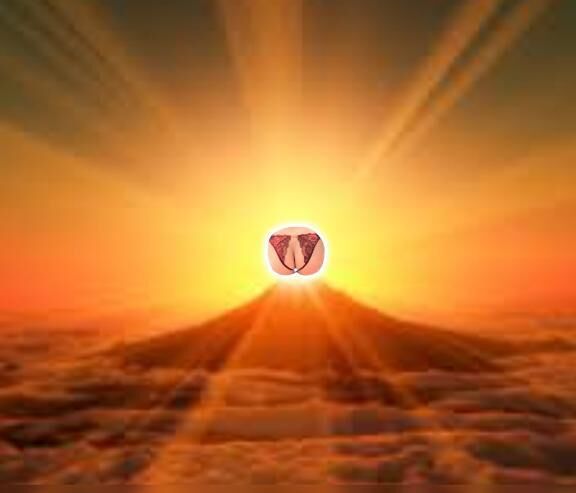 おはようございます