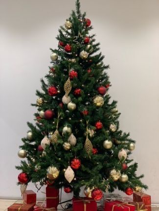 おはようございます