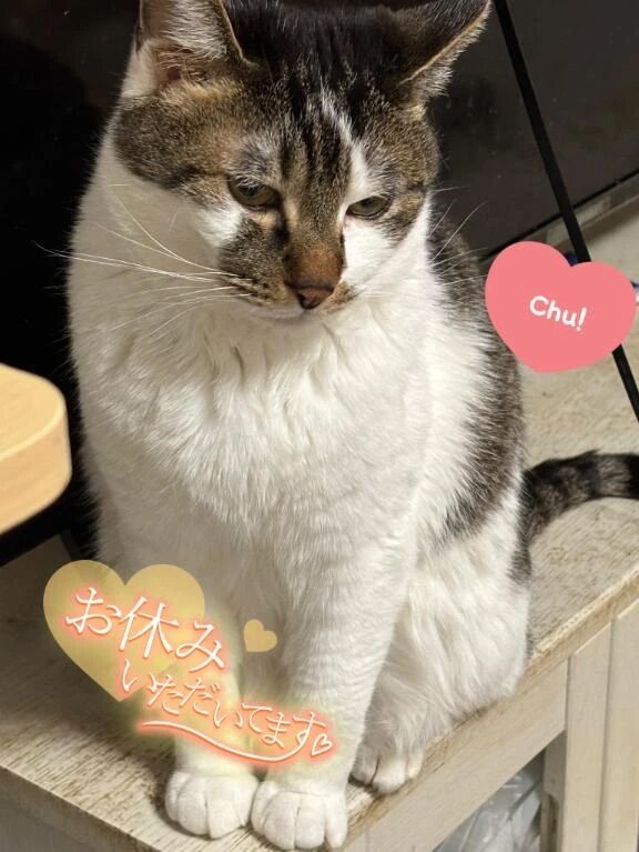 美容院💇&zwj;♀️