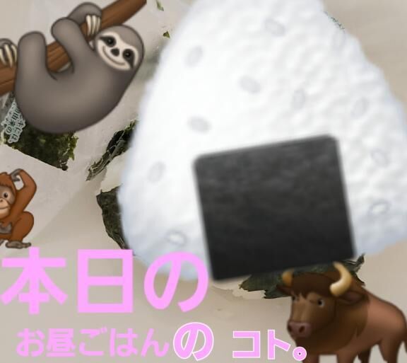 りかさんの　お昼ごはんは♡おにぎりでした！と。。。。♡困った困った…パッケージ。。。